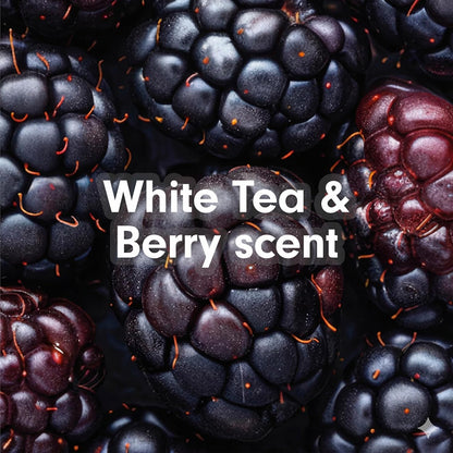 Softsoap Antibacterial Hand Soap, White Tea & Berry, 11.25 fl oz