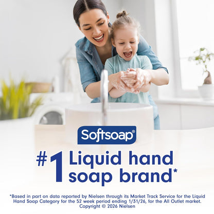 Softsoap Antibacterial Hand Soap, White Tea & Berry, 11.25 fl oz