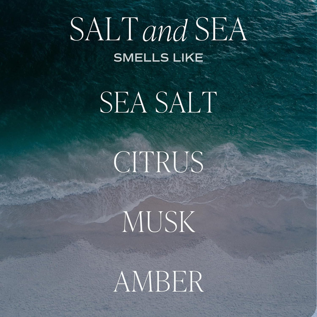 Salt and Sea Reed Diffuser - Sea Salt, Citrus, Musk & Amber Scent - Long-Lasting 4 Month Home Fragrance, Non-Toxic, Aesthetic Home & Bathroom Decor, Made in USA, 3.5 Fl Oz