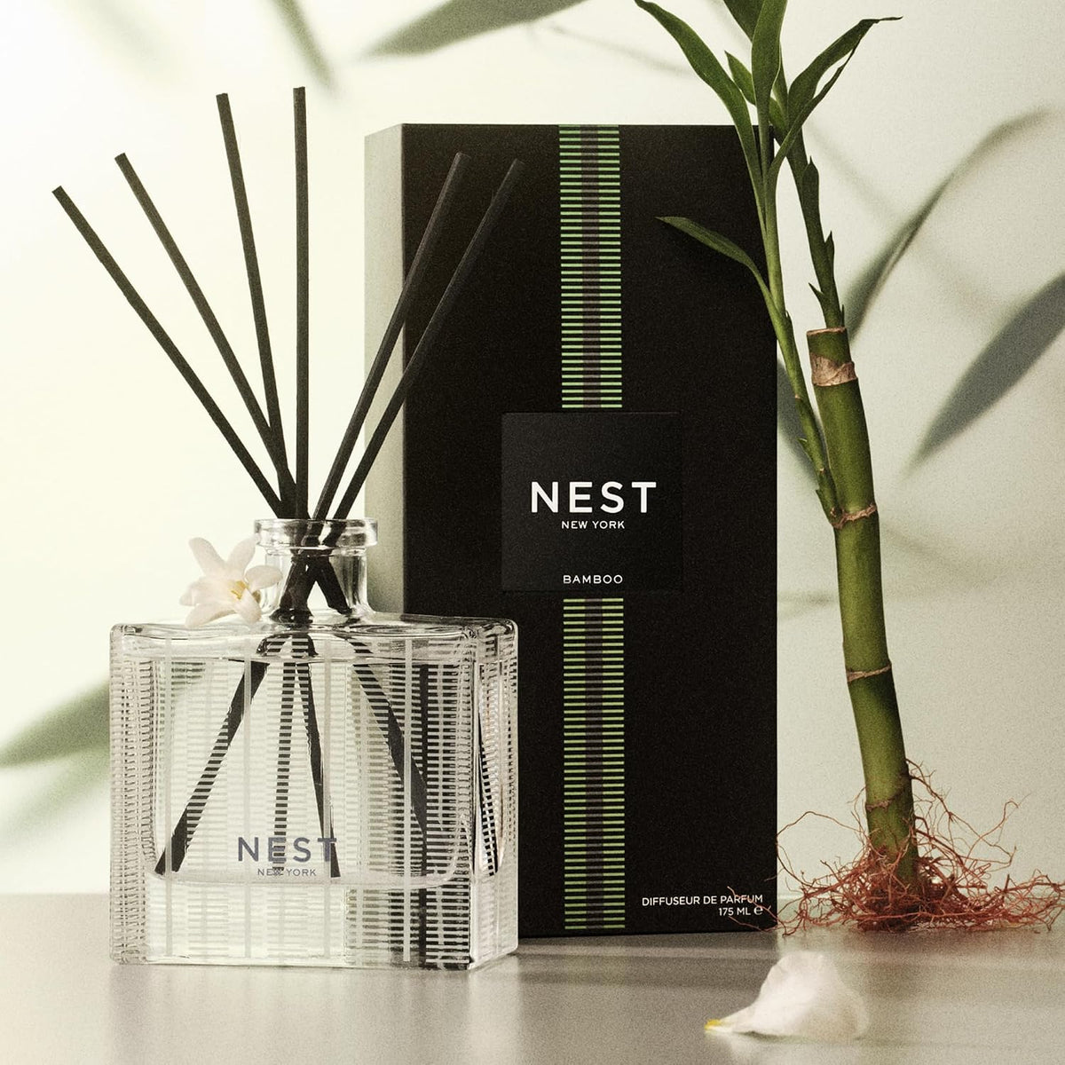 Reed Diffuser, Bamboo - 5.9 fl oz - Fragrance for Up to 90 Days - Reusable, Refillable Glass Holder - Includes 8 All-Natural Reed Sticks - Flame Free