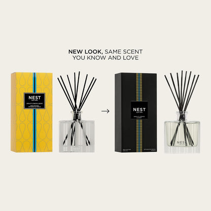 Reed Diffuser, Bamboo - 5.9 fl oz - Fragrance for Up to 90 Days - Reusable, Refillable Glass Holder - Includes 8 All-Natural Reed Sticks - Flame Free