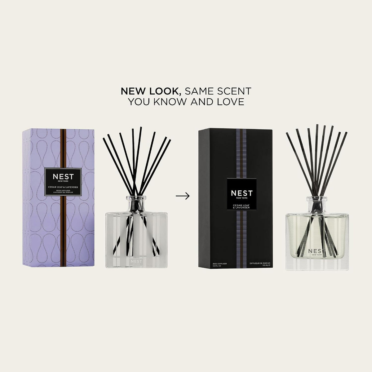 Reed Diffuser, Bamboo - 5.9 fl oz - Fragrance for Up to 90 Days - Reusable, Refillable Glass Holder - Includes 8 All-Natural Reed Sticks - Flame Free