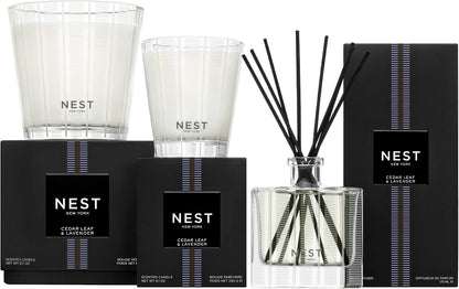 Reed Diffuser, Bamboo - 5.9 fl oz - Fragrance for Up to 90 Days - Reusable, Refillable Glass Holder - Includes 8 All-Natural Reed Sticks - Flame Free