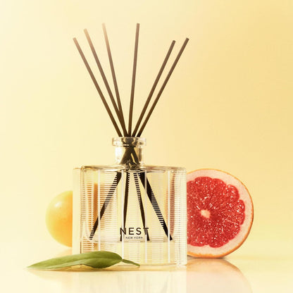 Reed Diffuser, Bamboo - 5.9 fl oz - Fragrance for Up to 90 Days - Reusable, Refillable Glass Holder - Includes 8 All-Natural Reed Sticks - Flame Free