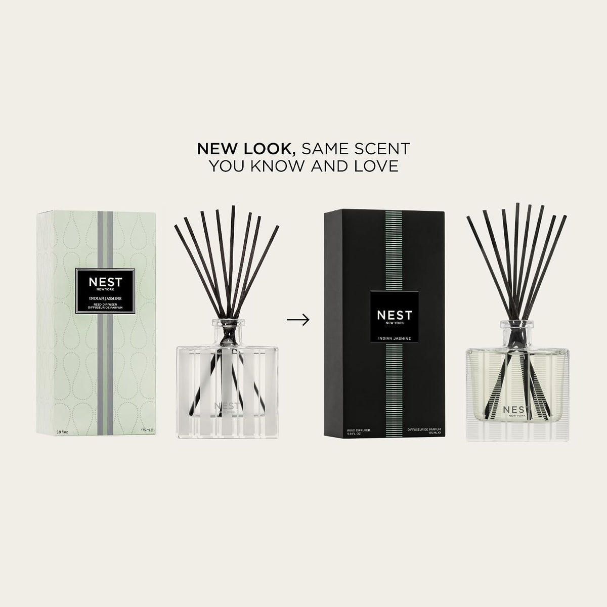 Reed Diffuser, Bamboo - 5.9 fl oz - Fragrance for Up to 90 Days - Reusable, Refillable Glass Holder - Includes 8 All-Natural Reed Sticks - Flame Free