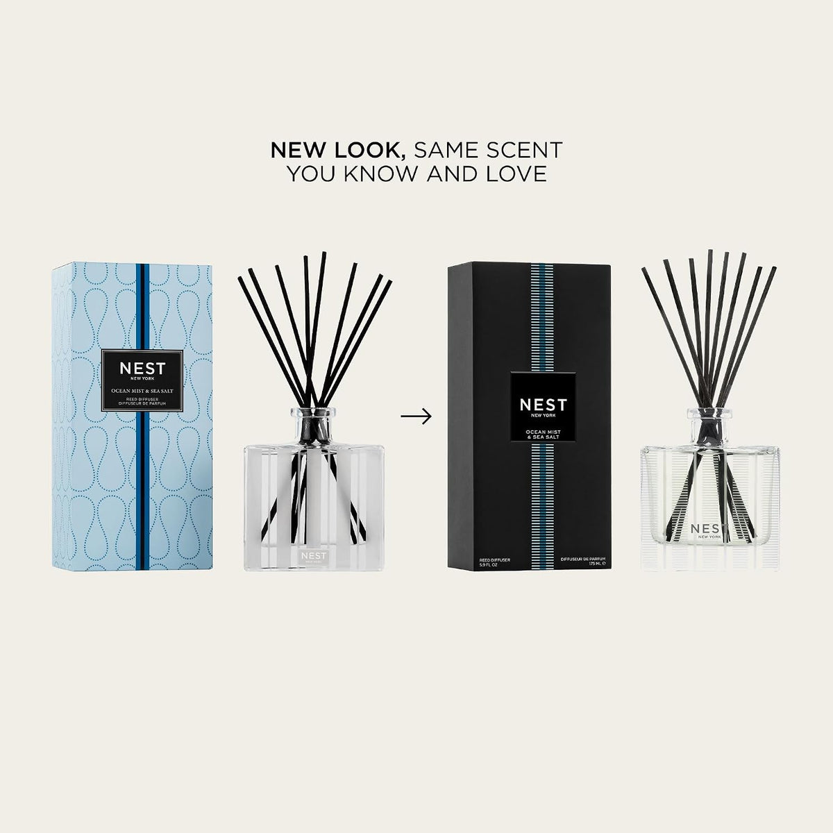 Reed Diffuser, Bamboo - 5.9 fl oz - Fragrance for Up to 90 Days - Reusable, Refillable Glass Holder - Includes 8 All-Natural Reed Sticks - Flame Free