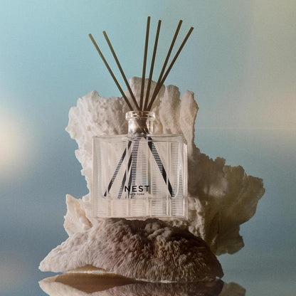 Reed Diffuser, Bamboo - 5.9 fl oz - Fragrance for Up to 90 Days - Reusable, Refillable Glass Holder - Includes 8 All-Natural Reed Sticks - Flame Free
