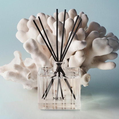 Reed Diffuser, Bamboo - 5.9 fl oz - Fragrance for Up to 90 Days - Reusable, Refillable Glass Holder - Includes 8 All-Natural Reed Sticks - Flame Free