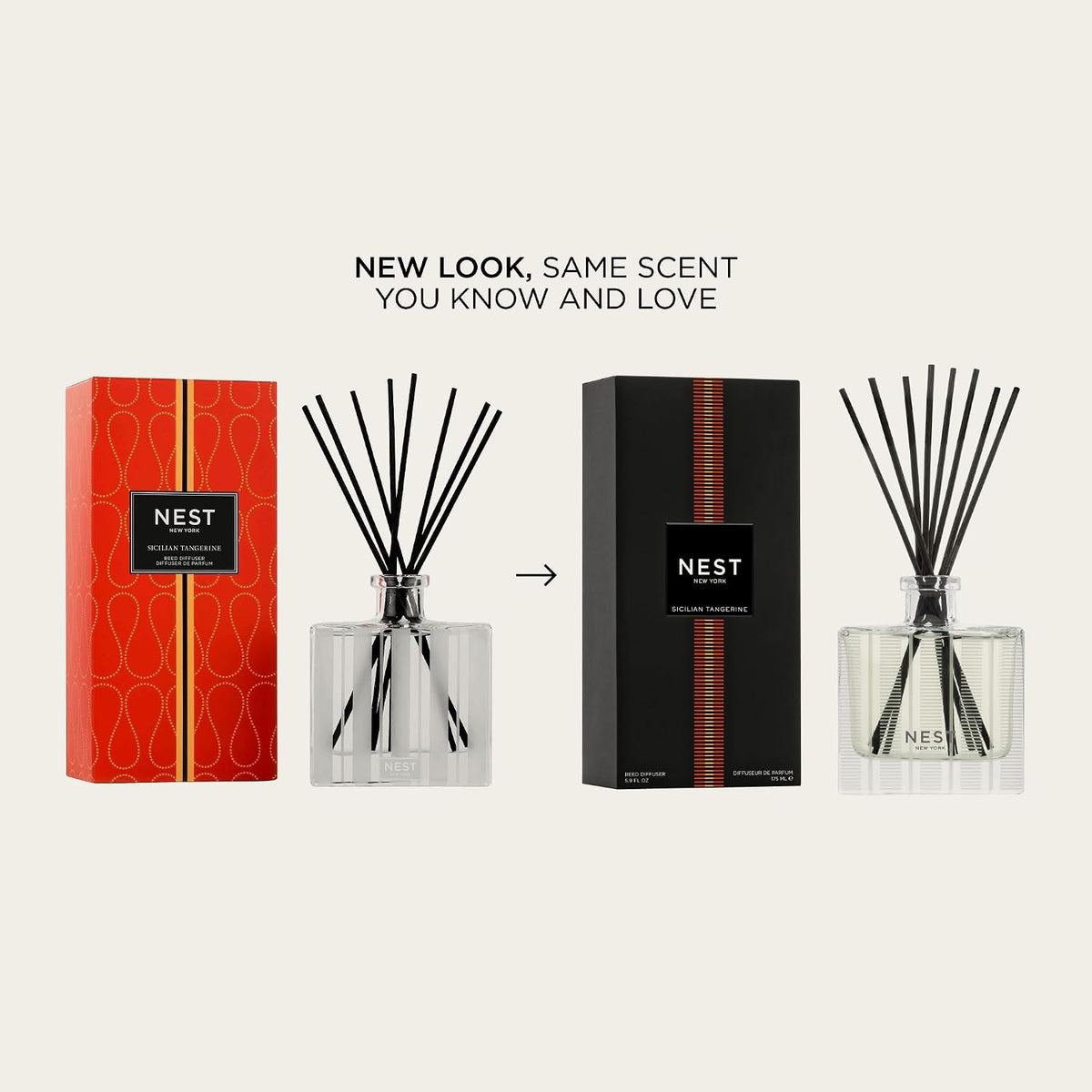 Reed Diffuser, Bamboo - 5.9 fl oz - Fragrance for Up to 90 Days - Reusable, Refillable Glass Holder - Includes 8 All-Natural Reed Sticks - Flame Free