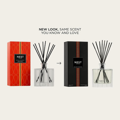 Reed Diffuser, Bamboo - 5.9 fl oz - Fragrance for Up to 90 Days - Reusable, Refillable Glass Holder - Includes 8 All-Natural Reed Sticks - Flame Free