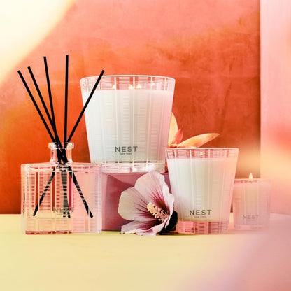 Reed Diffuser, Bamboo - 5.9 fl oz - Fragrance for Up to 90 Days - Reusable, Refillable Glass Holder - Includes 8 All-Natural Reed Sticks - Flame Free