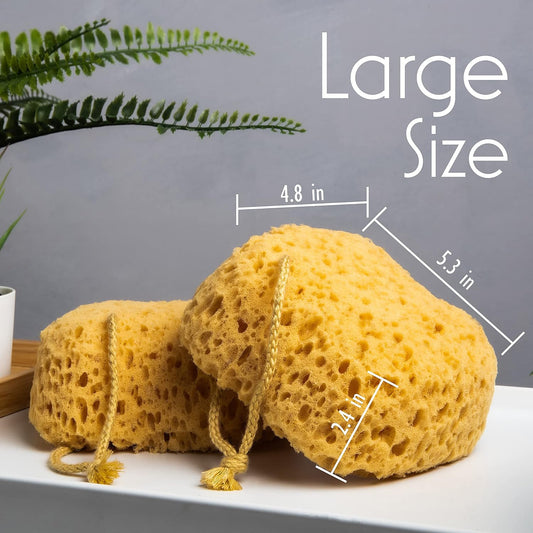 Bath Sponge, Foam Loofah, Shower Sponge for Body, Curvy, 3 Pack | Large Size, Lots of Lather, Bath Sponges for Shower, Body Scrubber for Bathing, Body Wash Women, Exfoliating Loofah Sponge