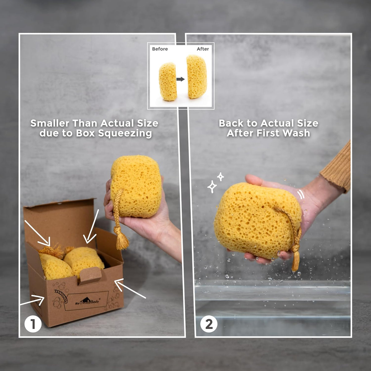 Bath Sponge, Foam Loofah, Shower Sponge for Body, Curvy, 3 Pack | Large Size, Lots of Lather, Bath Sponges for Shower, Body Scrubber for Bathing, Body Wash Women, Exfoliating Loofah Sponge