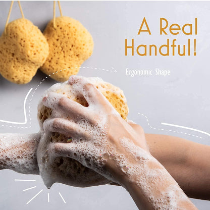 Bath Sponge, Foam Loofah, Shower Sponge for Body, Curvy, 3 Pack | Large Size, Lots of Lather, Bath Sponges for Shower, Body Scrubber for Bathing, Body Wash Women, Exfoliating Loofah Sponge