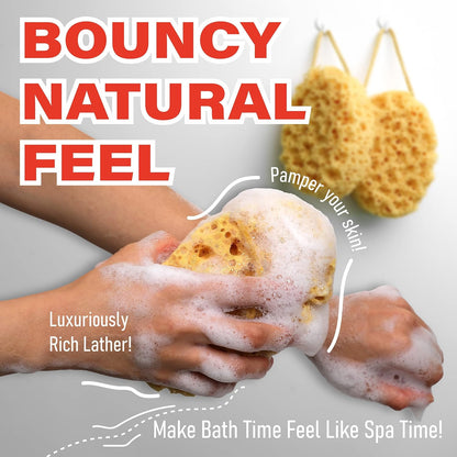 Bath Sponge, Foam Loofah, Shower Sponge for Body, Curvy, 3 Pack | Large Size, Lots of Lather, Bath Sponges for Shower, Body Scrubber for Bathing, Body Wash Women, Exfoliating Loofah Sponge