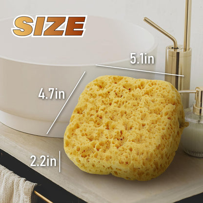 Bath Sponge, Foam Loofah, Shower Sponge for Body, Curvy, 3 Pack | Large Size, Lots of Lather, Bath Sponges for Shower, Body Scrubber for Bathing, Body Wash Women, Exfoliating Loofah Sponge