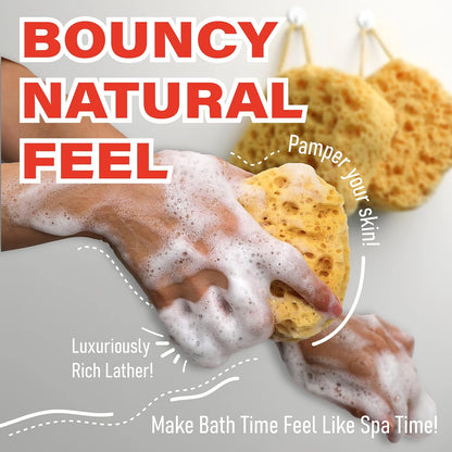 Bath Sponge, Foam Loofah, Shower Sponge for Body, Curvy, 3 Pack | Large Size, Lots of Lather, Bath Sponges for Shower, Body Scrubber for Bathing, Body Wash Women, Exfoliating Loofah Sponge