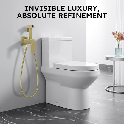 Handheld Bidet Sprayer, Bidet Attachment for Toilet, Brushed Nickel