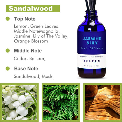 Reed Diffusers Set, 3.7 Oz Scent Diffuser, 6 Reed Diffuser Sticks, Home Fragrance Hyacinth, Peony & Citrus, Aromatherapy Oil Diffuser Reeds, More Masculine Scent, Bathroom & Office Decor 110ml
