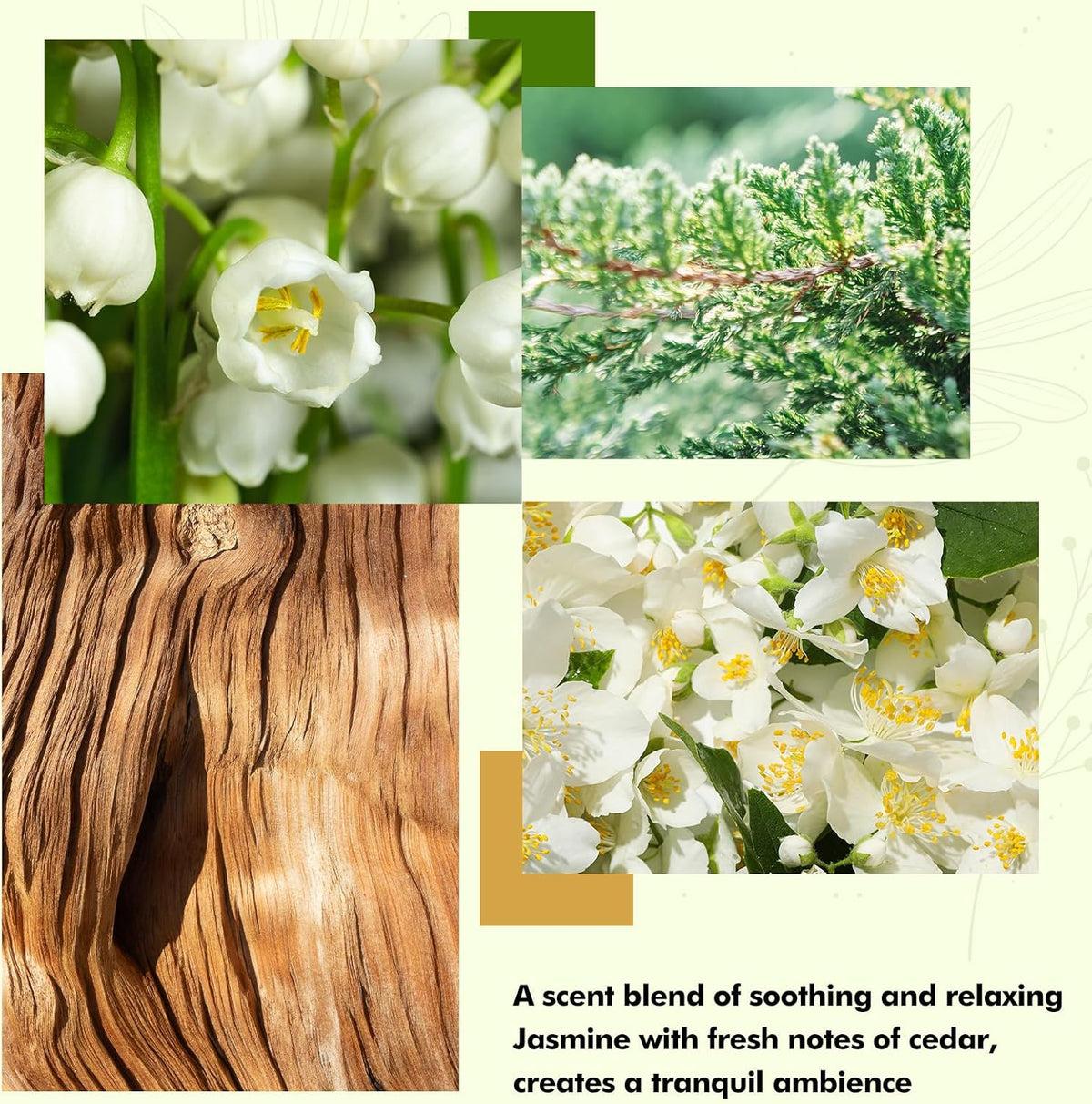 Reed Diffusers Set, 3.7 Oz Scent Diffuser, 6 Reed Diffuser Sticks, Home Fragrance Hyacinth, Peony & Citrus, Aromatherapy Oil Diffuser Reeds, More Masculine Scent, Bathroom & Office Decor 110ml