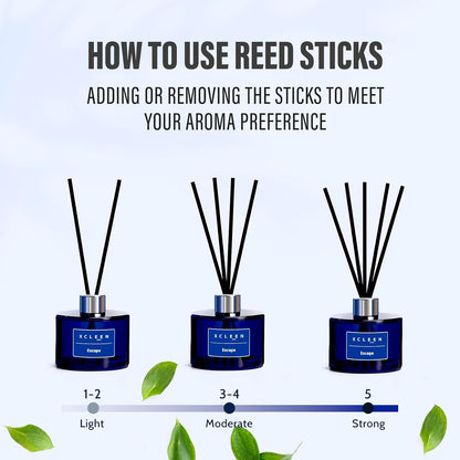 Reed Diffusers Set, 3.7 Oz Scent Diffuser, 6 Reed Diffuser Sticks, Home Fragrance Hyacinth, Peony & Citrus, Aromatherapy Oil Diffuser Reeds, More Masculine Scent, Bathroom & Office Decor 110ml