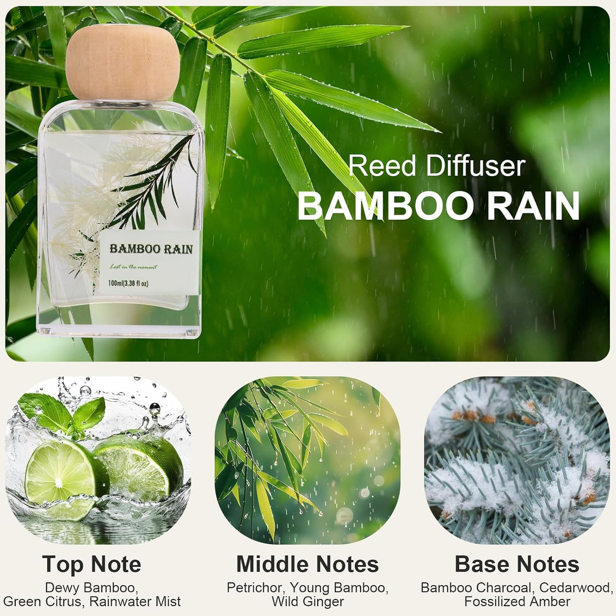 Cedarwood & White Musk Reed Diffuser, 3.34 Fl Oz