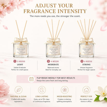 Cedarwood & White Musk Reed Diffuser, 3.34 Fl Oz