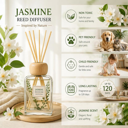 Cedarwood & White Musk Reed Diffuser, 3.34 Fl Oz