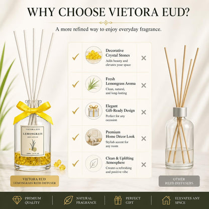 Cedarwood & White Musk Reed Diffuser, 3.34 Fl Oz