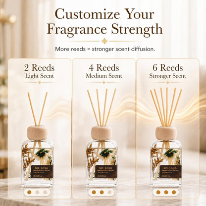 Cedarwood & White Musk Reed Diffuser, 3.34 Fl Oz