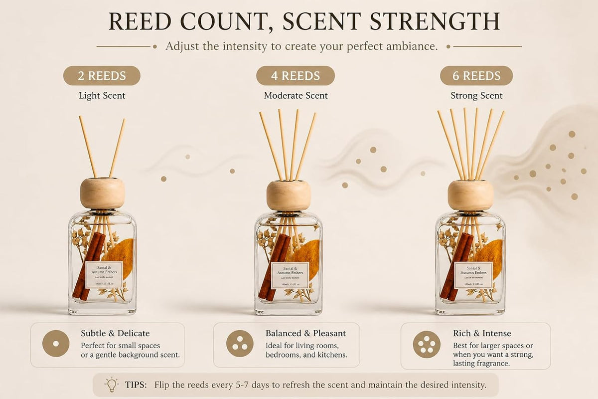 Cedarwood & White Musk Reed Diffuser, 3.34 Fl Oz