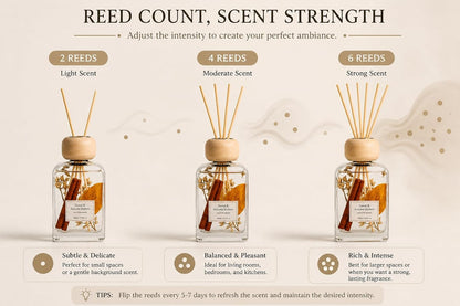 Cedarwood & White Musk Reed Diffuser, 3.34 Fl Oz