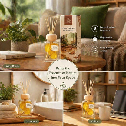 Cedarwood & White Musk Reed Diffuser, 3.34 Fl Oz