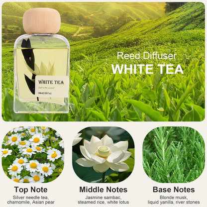 Cedarwood & White Musk Reed Diffuser, 3.34 Fl Oz