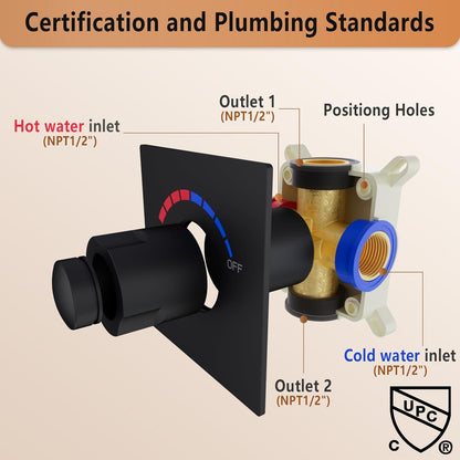 2 Way Push Button Thermostatic Shower Diverter Mixing Valve, Concealed 2 Outlet Multi Function Can Control temperature and Separate with Free Combination,Matte Black