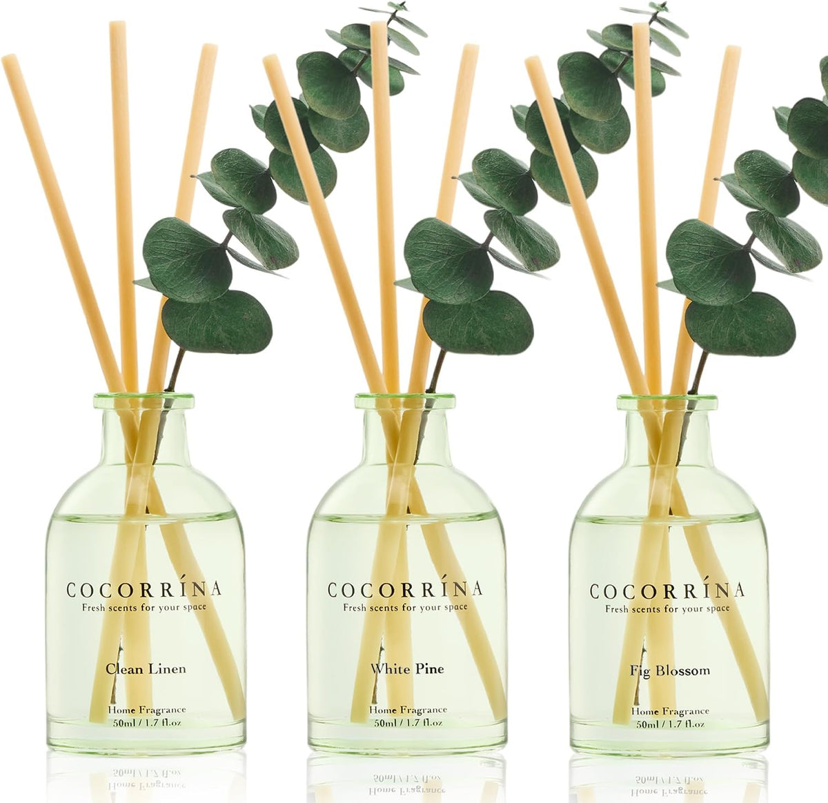 Reed Diffuser Set of 3 with Dried Eucalyptus for Home & Office