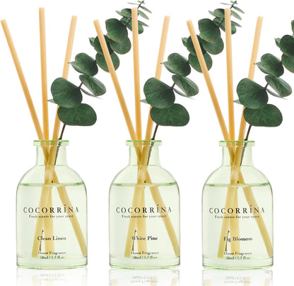 Reed Diffuser Set of 3 with Dried Eucalyptus for Home & Office