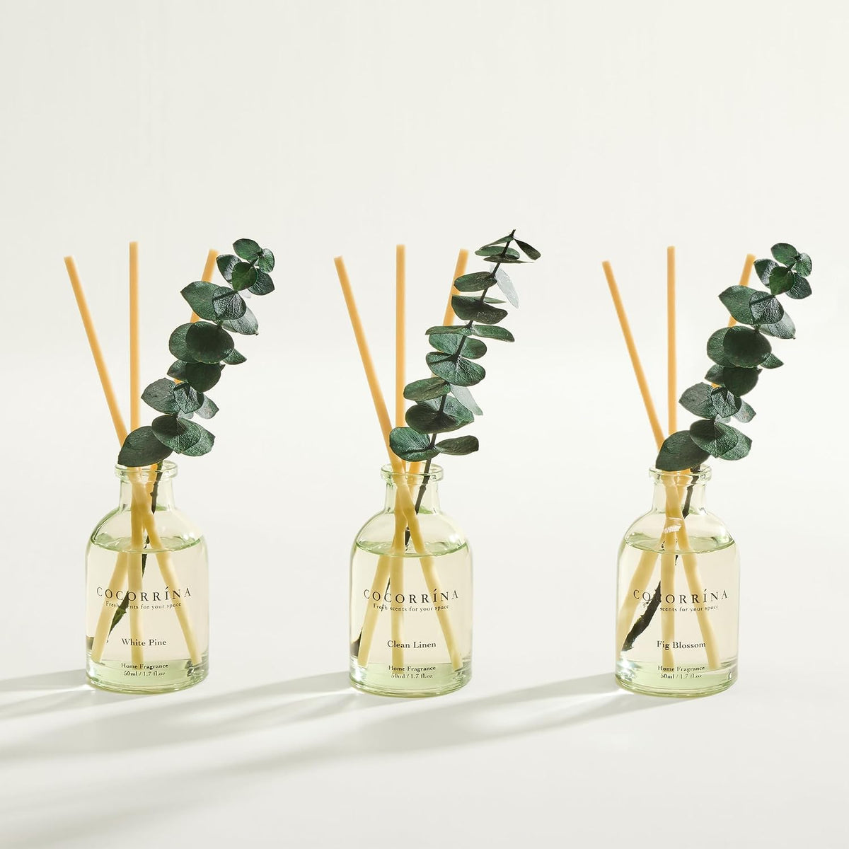 Reed Diffuser Set of 3 with Dried Eucalyptus for Home & Office