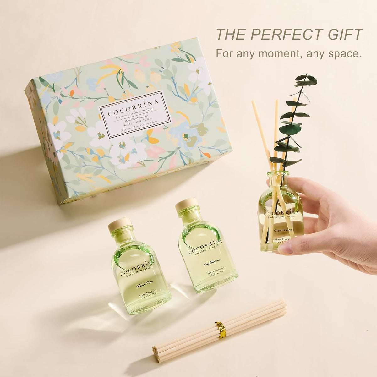 Reed Diffuser Set of 3 with Dried Eucalyptus for Home & Office