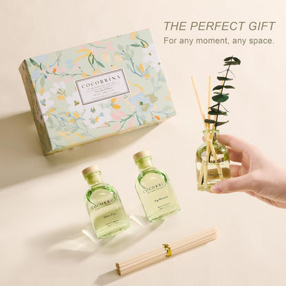Reed Diffuser Set of 3 with Dried Eucalyptus for Home & Office
