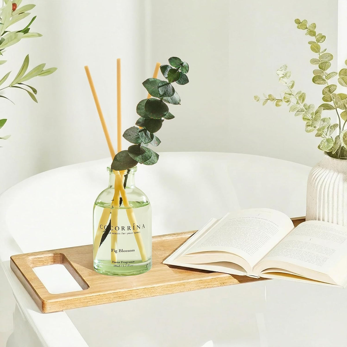 Reed Diffuser Set of 3 with Dried Eucalyptus for Home & Office