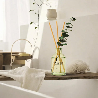 Reed Diffuser Set of 3 with Dried Eucalyptus for Home & Office