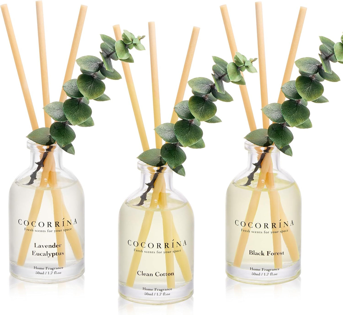 Reed Diffuser Set of 3 with Dried Eucalyptus for Home & Office