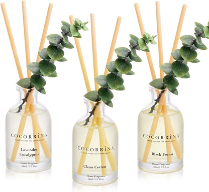 Reed Diffuser Set of 3 with Dried Eucalyptus for Home & Office