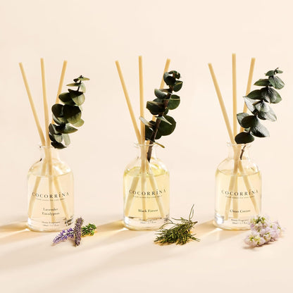 Reed Diffuser Set of 3 with Dried Eucalyptus for Home & Office
