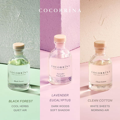 Reed Diffuser Set of 3 with Dried Eucalyptus for Home & Office