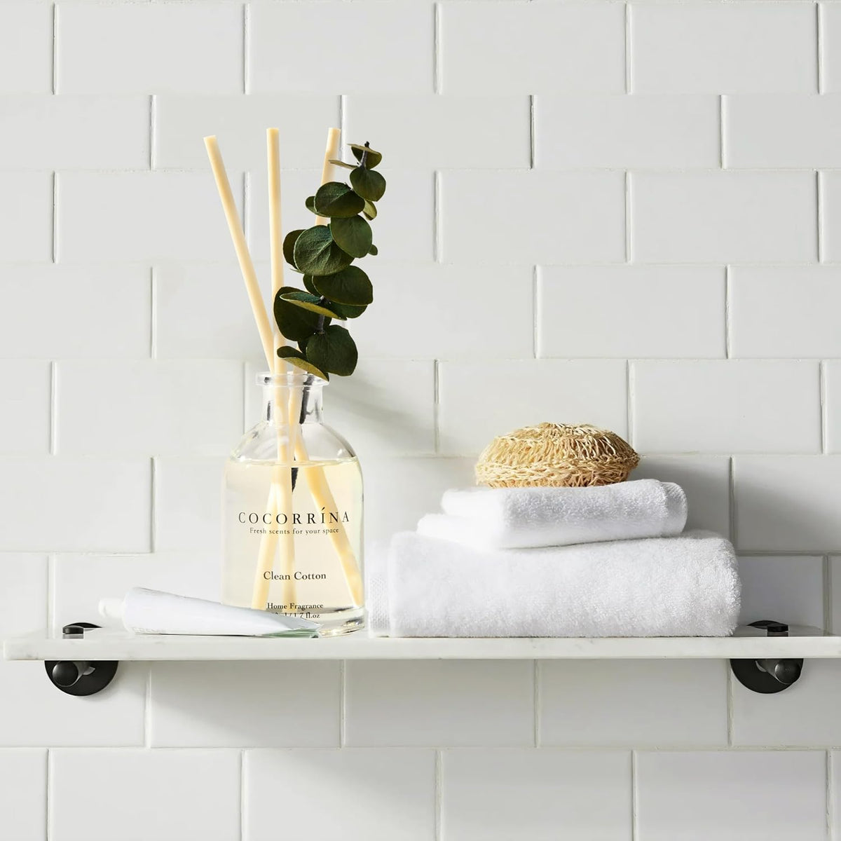 Reed Diffuser Set of 3 with Dried Eucalyptus for Home & Office