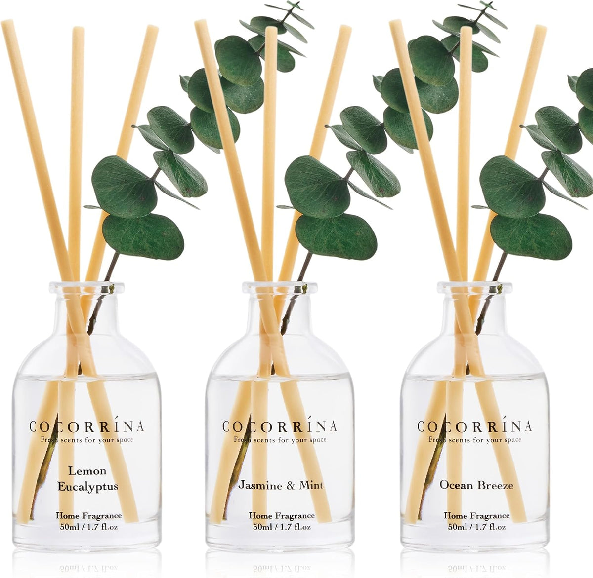 Reed Diffuser Set of 3 with Dried Eucalyptus for Home & Office
