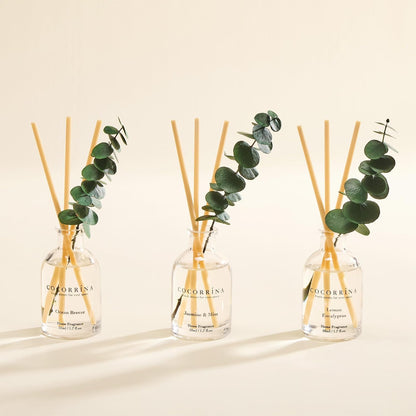 Reed Diffuser Set of 3 with Dried Eucalyptus for Home & Office