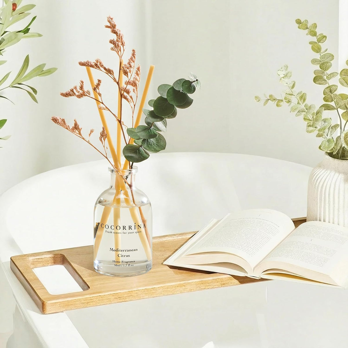 Reed Diffuser Set of 3 with Dried Eucalyptus for Home & Office
